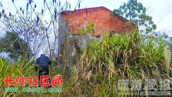 huangj15111401.JPG